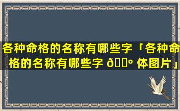 各种命格的名称有哪些字「各种命格的名称有哪些字 🌺 体图片」